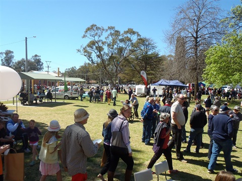 Darlington Point Spring Festival image.JPG