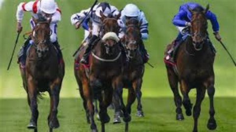 melbourne cup luncheon.jpg