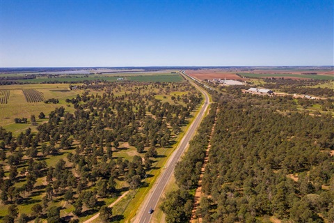 Ariel shot of the Kidman Way looking north from Coleambally