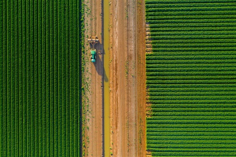 Ariel view of tractor on road between wheat crops